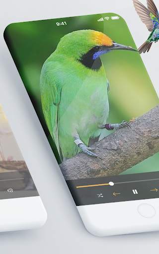 Suara pikat burung kecil lengkap screenshot 2