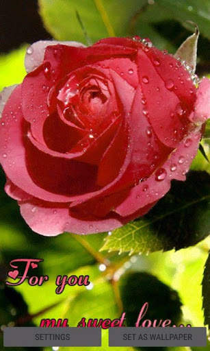 Sweet Rose Live Wallpaper screenshot 1