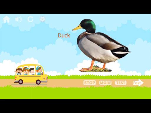 100 Animals and Birds for kids स्क्रीनशॉट 22