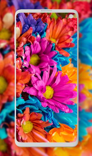 Best HD Wallpapers & Backgrounds screenshot 4