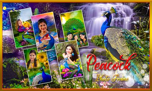 Peacock Photo Frames Garnish screenshot 1