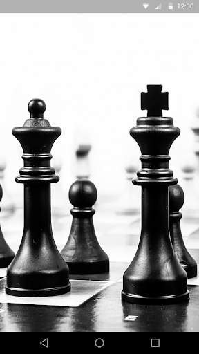 Chess Live Wallpaper screenshot 4