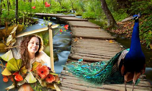 Peacock & Nature Photo Frames 2 تصوير الشاشة