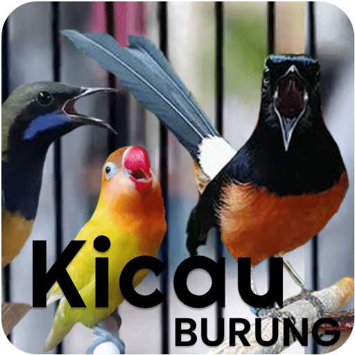 Kicau Burung Terlengkap 5.0
