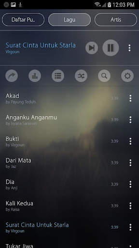 MP3 Player screenshot 15