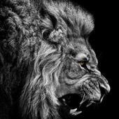 The king of beasts icon