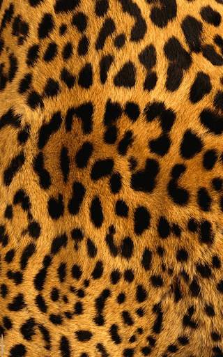 Animal Print Live Wallpaper HD screenshot 1