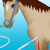 horse surgery games 2 1.0