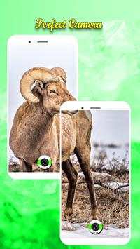 Camera For Vivo V15 / V15 Pro 2 تصوير الشاشة