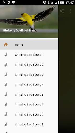 Birdsong Goldfinch New screenshot 1