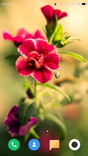 Macro Wallpaper HD screenshot 9