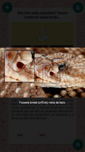 Serpentes de Minas Gerais screenshot 4