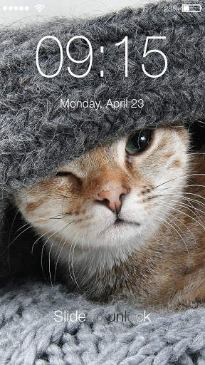 Funny Cat PIN Screen Lock screenshot 1