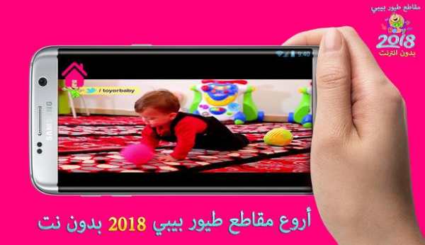 أروع مقاطع طيور الجنة بيبي 2018 4 تصوير الشاشة