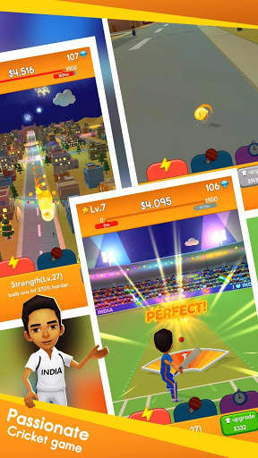 Cricket Boy screenshot 1