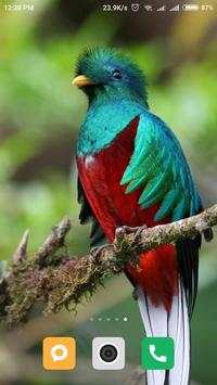 Bird wallpaper screenshot 6