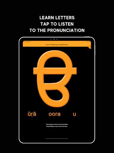 Learn Punjabi screenshot 9
