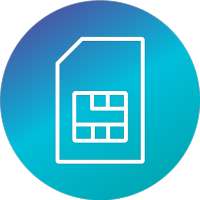 Pakistan's E-Services | RGM Database 2020