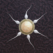 Sperm Racing icon