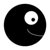Black and White Camera 1.33