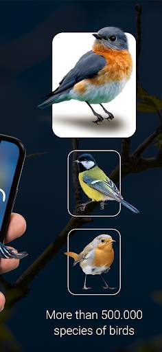 Bird Identifier - Picture Bird screenshot 2