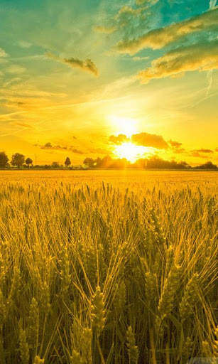HD Landscape Live Wallpaper screenshot 10