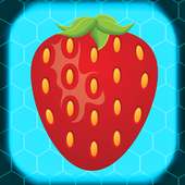 Fruit Burst