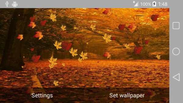 Nature Live Wallpaper screenshot 10