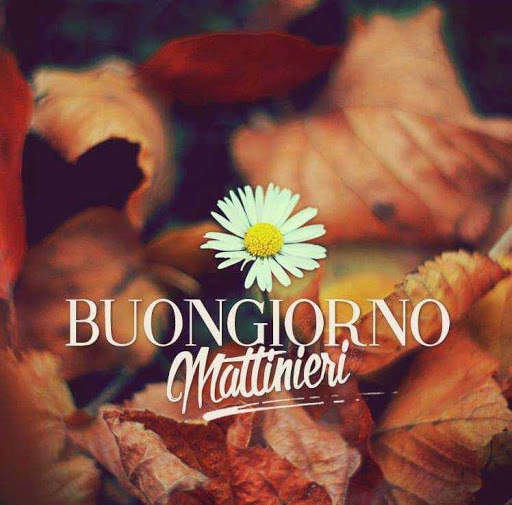 Cartoline di auguri screenshot 9