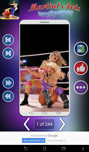 Martial Arts Wallpaper screenshot 13