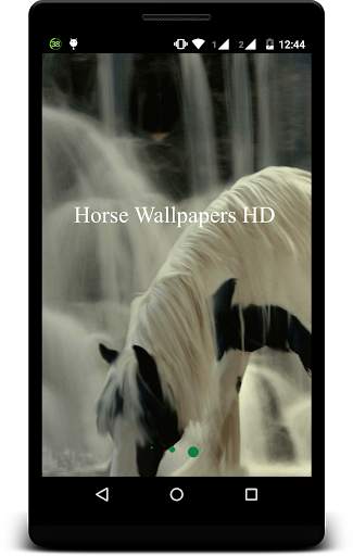 Horse Wallpapers HD screenshot 1