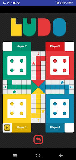 DH Ludo Game screenshot 4