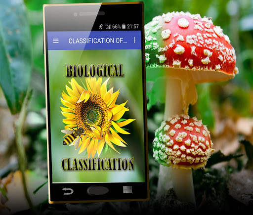 Biological classification screenshot 1