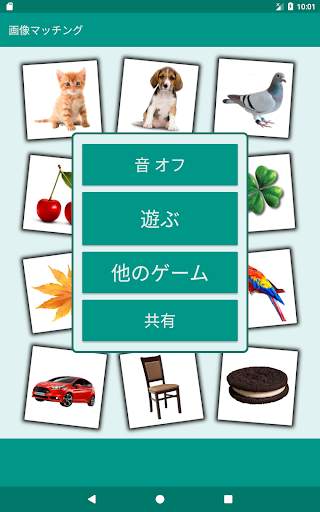 Brain game. Picture Match. screenshot 7