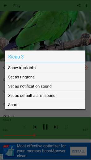 Kicau Burung Nuri screenshot 4