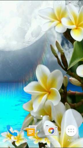 Video Wallpapers: Paradise Islands screenshot 2
