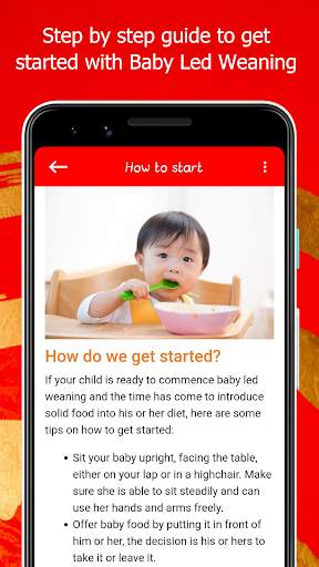 Baby Led Weaning - Chinese Recipes screenshot 8
