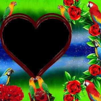 Parrot Photo Frame screenshot 1