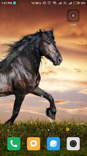Horse Wallpaper HD screenshot 4