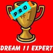 Expert 11 - Dream 11 Prediction App icon