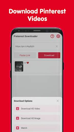 Downloader for Pinterest screenshot 3