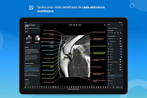 vet-Anatomy screenshot 13