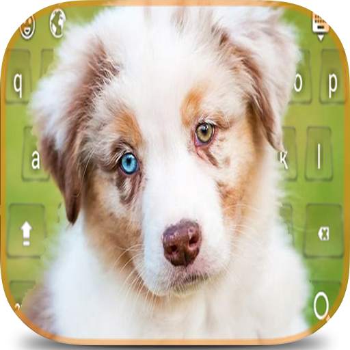 Shepherd Dog Keyboard 2.8