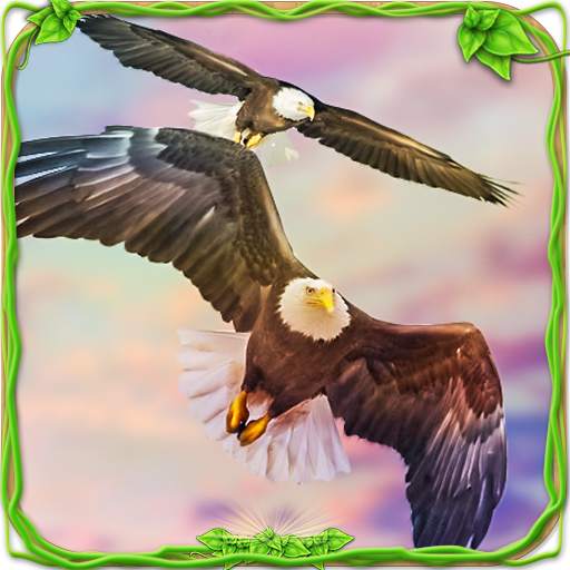 Eagle Racing Simulator: Animal Race Game 1.0