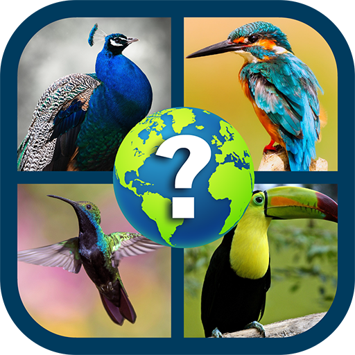 Birds Quiz Game 2020 icon