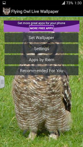 Flying Owl Live Wallpaper screenshot 6