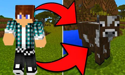 Mod Morph for Minecraft Pe screenshot 2