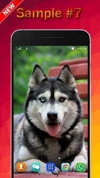 Dog Wallpaper screenshot 7