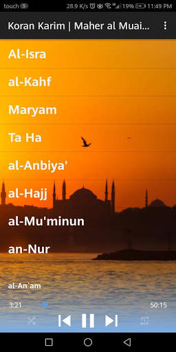Koran Kareem offline | Maher al Muaiqly screenshot 6