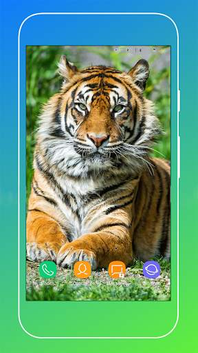 Tiger Wallpaper screenshot 13